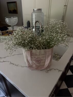 Trader Joe's Pink Canvas Tote Bag - Soft Pink Stripe
